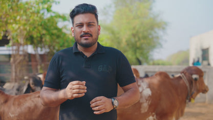 Gir Cow A2 ghee - Made From Curd